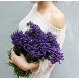 Большой букет свежей лаванды 