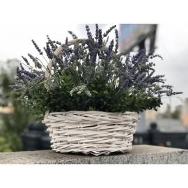 Корзина из Прованса