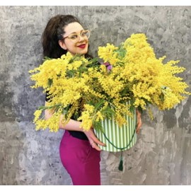 Мимоза в коробке 