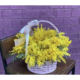 Корзина с мимозой