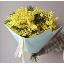 Мартовская мимоза 