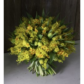 Весна в разгаре!