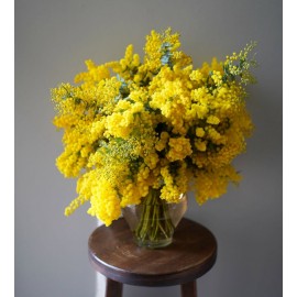 Ваза с мимозой