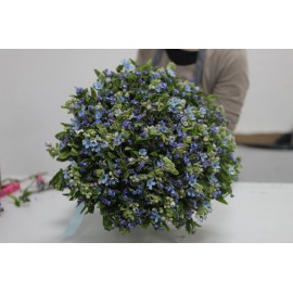 Большой букет незабудок 