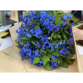 Твои любимые милашки