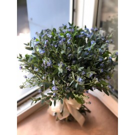 Незабудка-незабудка!