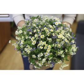 Полевое чудо