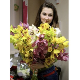 11 орхидеи цимбидиум микс 