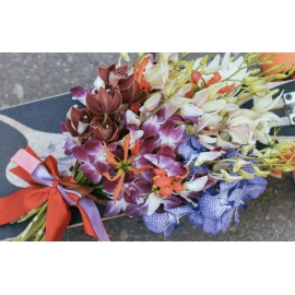 Такие разные орхидей