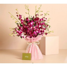 Фантастичный Дендробиум