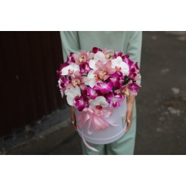 Твои любимки