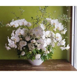 Все оттенки белого!