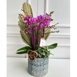 Малиновая принцесса