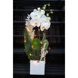 Белое Рождество 