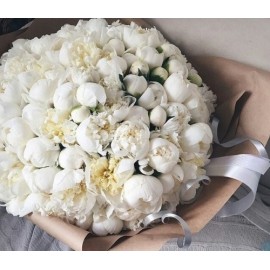 101 белый пион