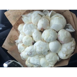 Белые пионы в крафте