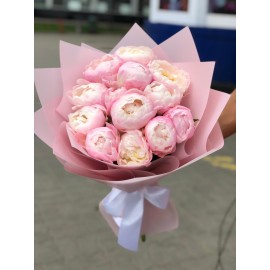 Милая Гардения