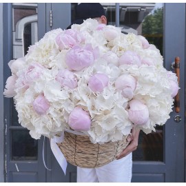 Воздушные облака