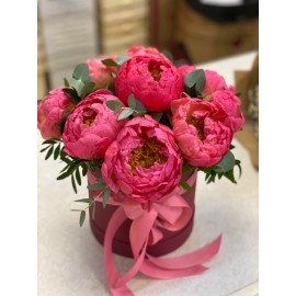 Коралловые пионы в коробке