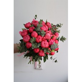 Коралловое утро