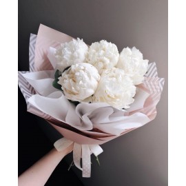 Пять пушистиков