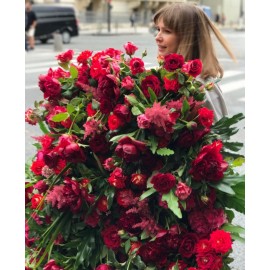 Безумный! Красный!