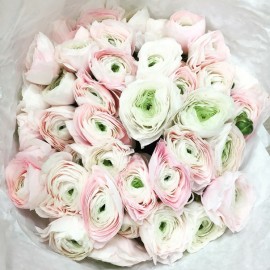 Твои любимые руники!