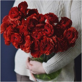 29 красных ранункулюсов в вазе