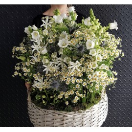 Луговая поляна