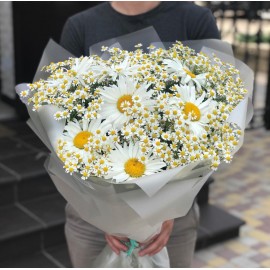 Ромашковое настроение 