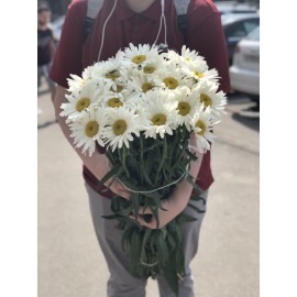 Высокие Ромашки поштучно от 29 штук