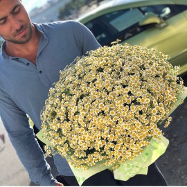 Ромашки для любимой 