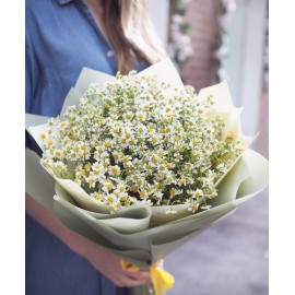 Букет из 25 ромашек
