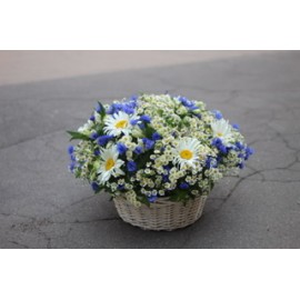 Лето в твоей корзине