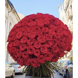 101 красная роза 80 см