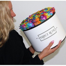 Радужная коробка