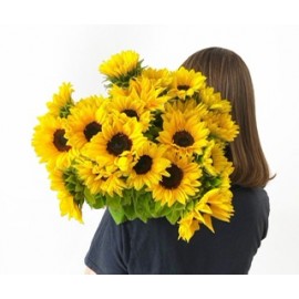 Подсолнухи поштучно от 9 штук