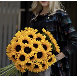 29 лучиков солнца 