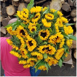 39 подсолнухов 