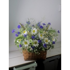 Лето в разгаре