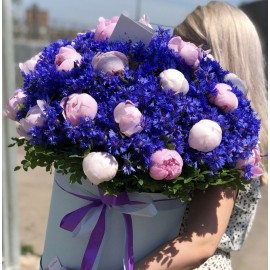 Летняя полевая коробка 