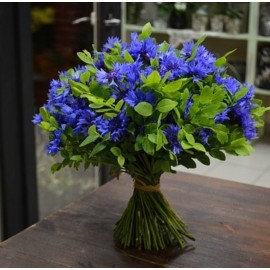 Васильковая история 