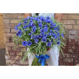 Любимое лето