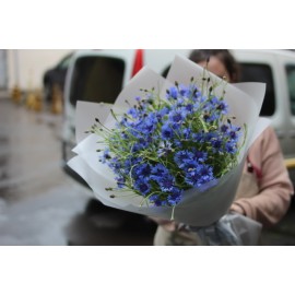 История с васильками 