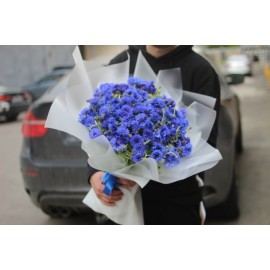 Большой букет васильков
