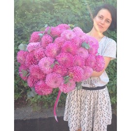 Георгиновое облако