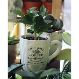 Кружка кофе 