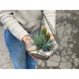 Домик с питомцами