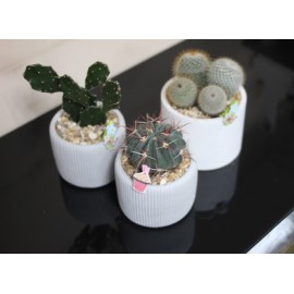 Три веселых друга 