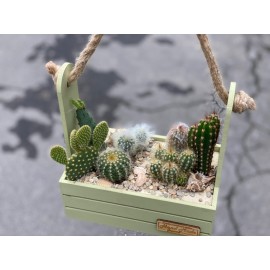 Топовая семерка